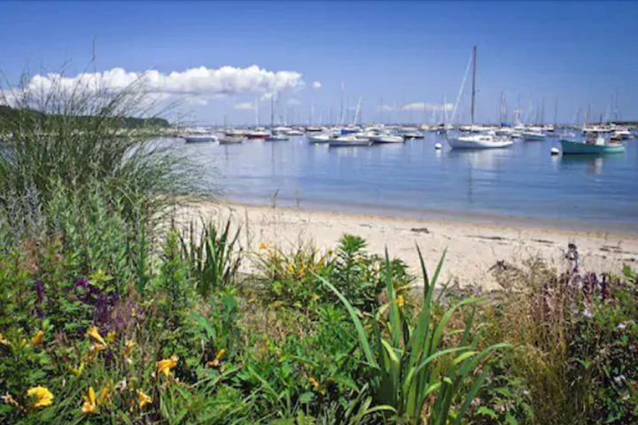 Beach 48 of 63