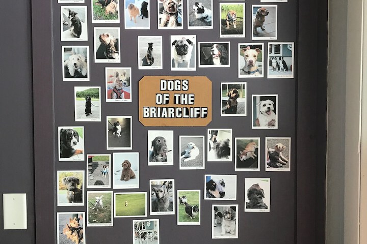 Pet Friendly 27 of 28