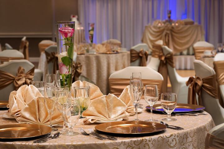 Holiday Inn Washington-Dulles International Airport by IHG