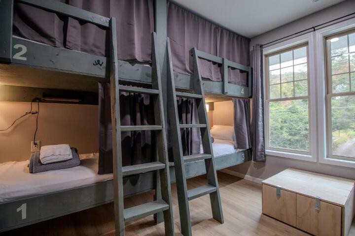 The Lazy Tiger Hostel