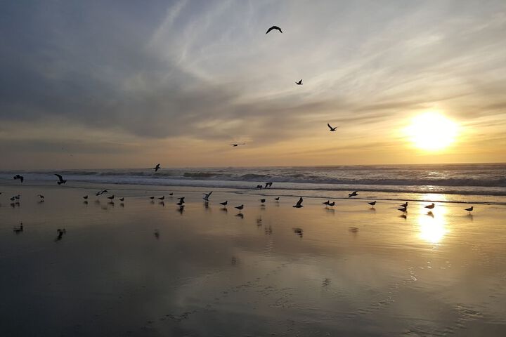 Beach 25 of 43