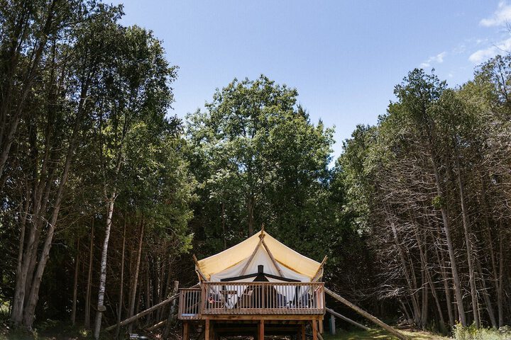 Whispering Springs Wilderness Retreat