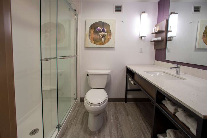 Hilton Garden Inn Rapid City