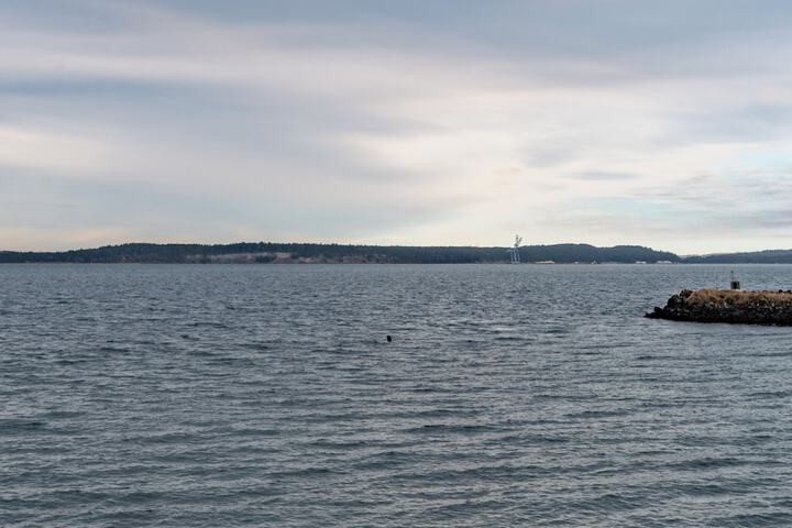 Water Front Inn