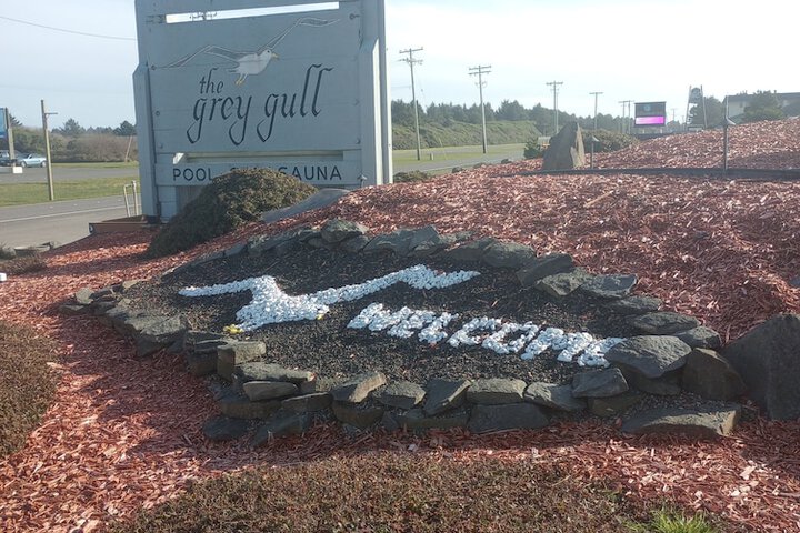 The Grey Gull