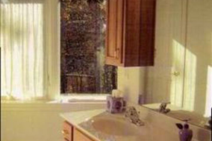 Tree Top Bed & Breakfast