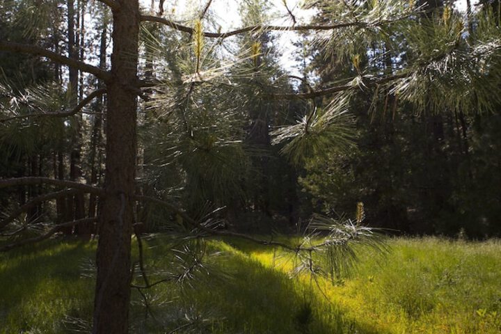 Property Grounds 180 of 192