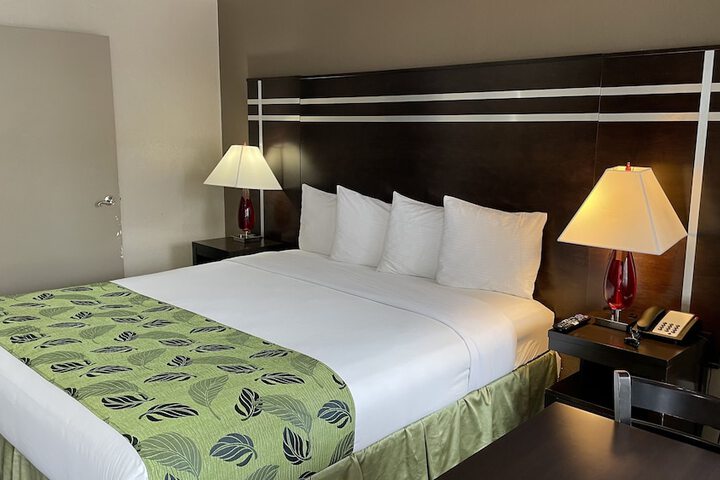 Room 14 of 54