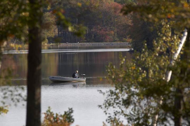 Mountain Springs Lake Resort