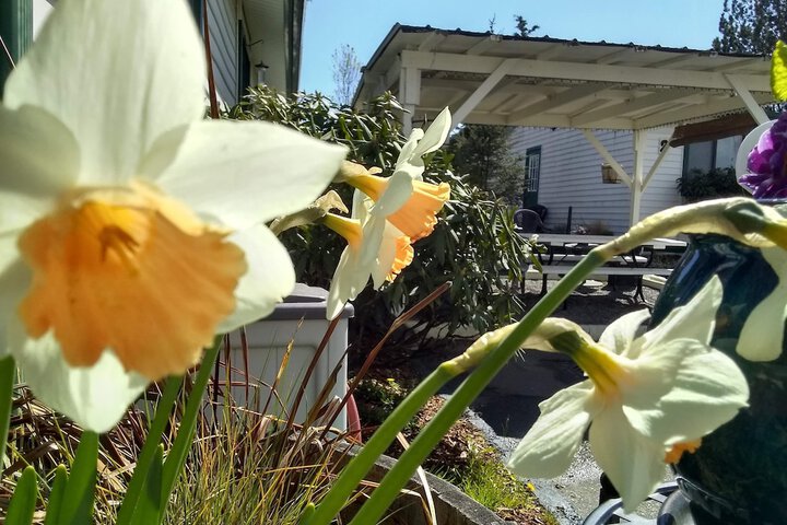 Terrace/Patio 41 of 52