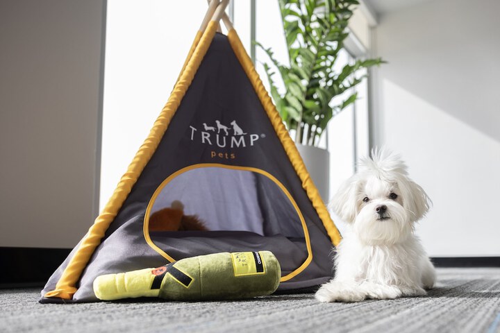 Pet Friendly 147 of 158