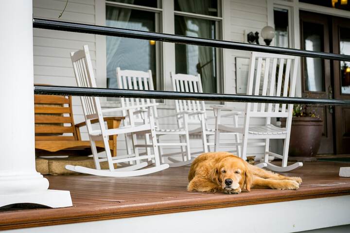 Pet Friendly 62 of 64