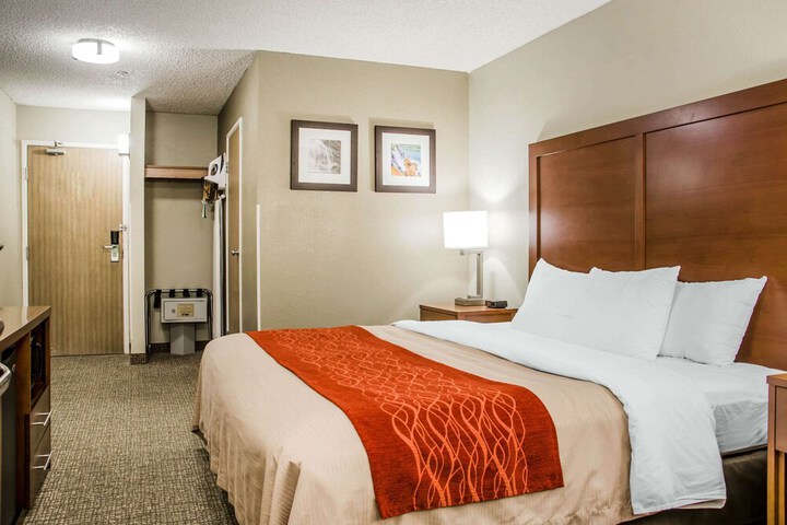 Comfort Inn Idaho Falls