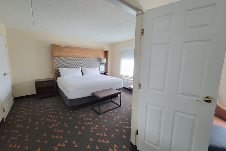 Holiday Inn & Suites Ann Arbor Univ Michigan Area by IHG