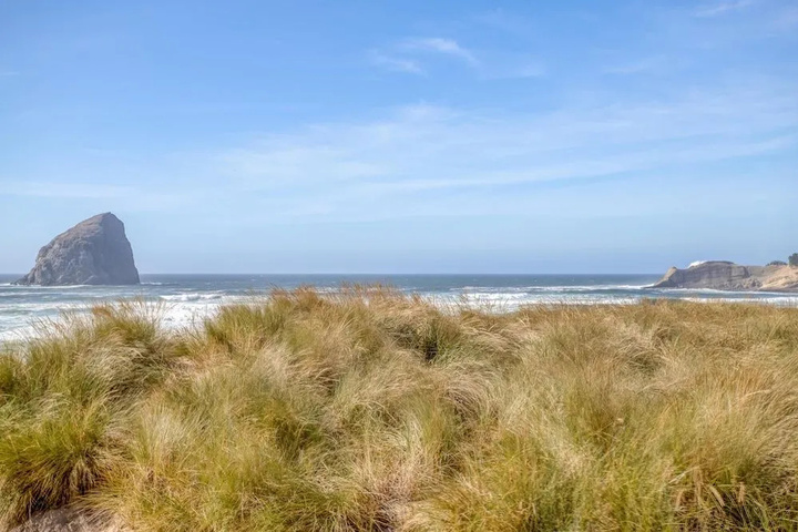 Sand Castle-Pacific City