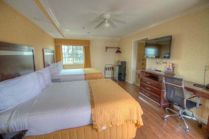 Room 43 of 49