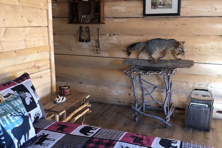 Wrangell Mountain Lodge