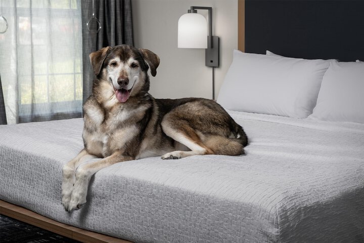 Homewood Suites by Hilton Vancouver-Portland