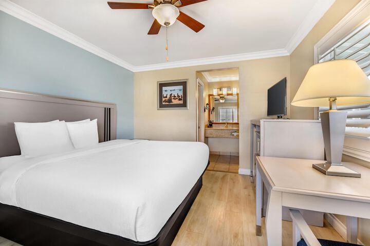Best Western Tradewinds
