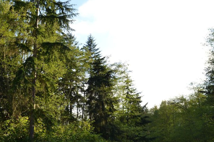 Wildwood Farm B & B