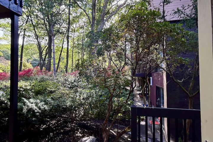 The Woodlands