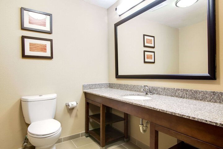 Comfort Inn & Suites Macon North I-75