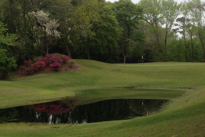 Cypress Moon Inn