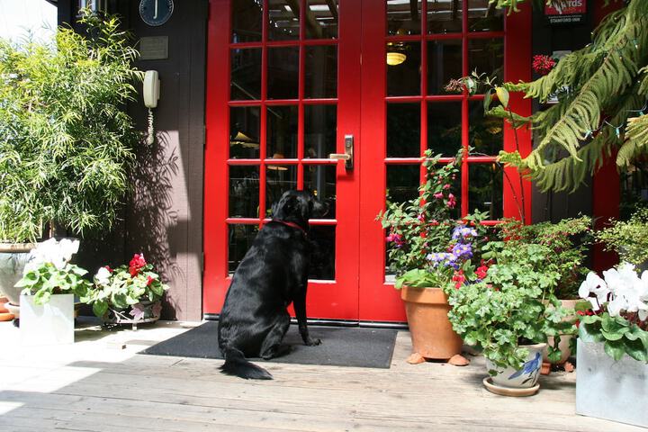 Pet Friendly 72 of 87