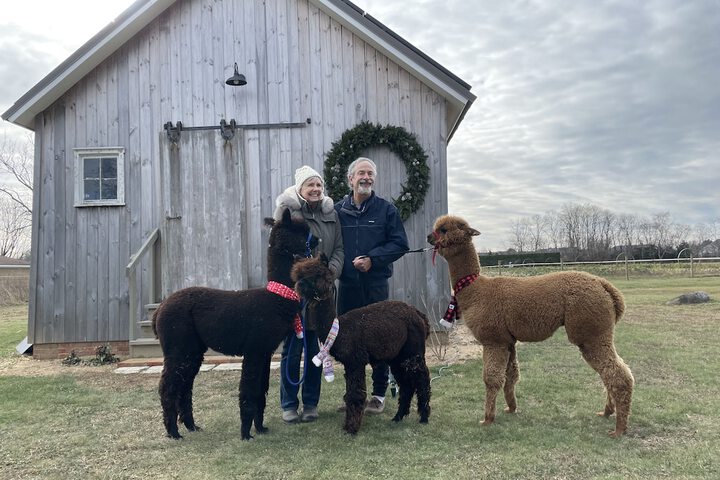 The Farmhouse Bed and Breakfast