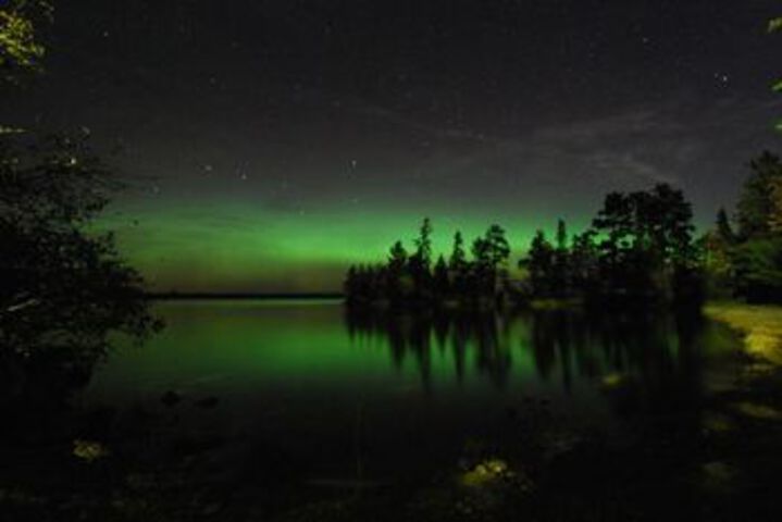 Birch Forest Lodge