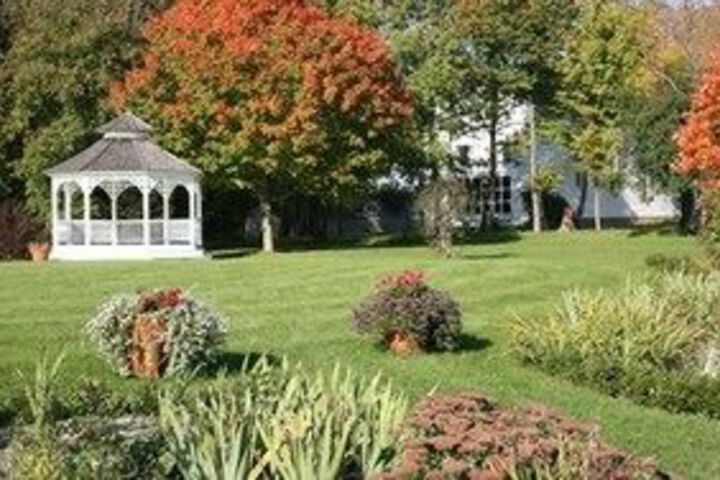 The Grafton Inn