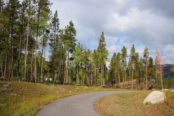 Settlers Creek 6523