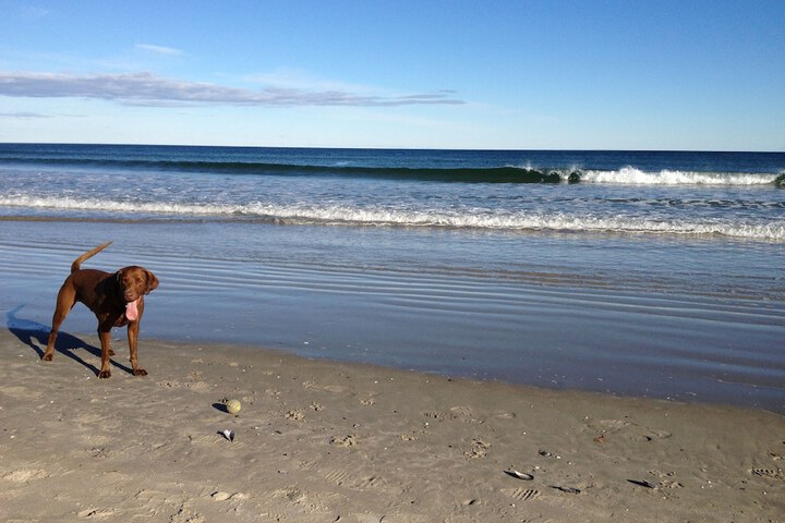Beach 38 of 62