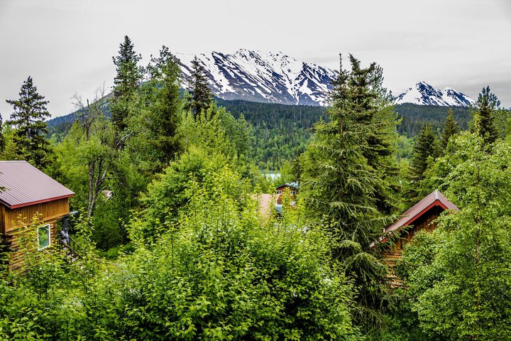 Midnight Sun Log Cabins