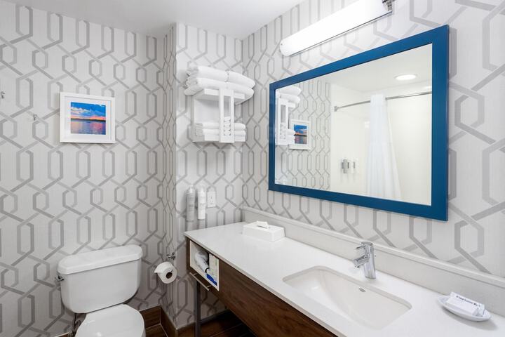 Hampton Inn Buffalo South / I-90