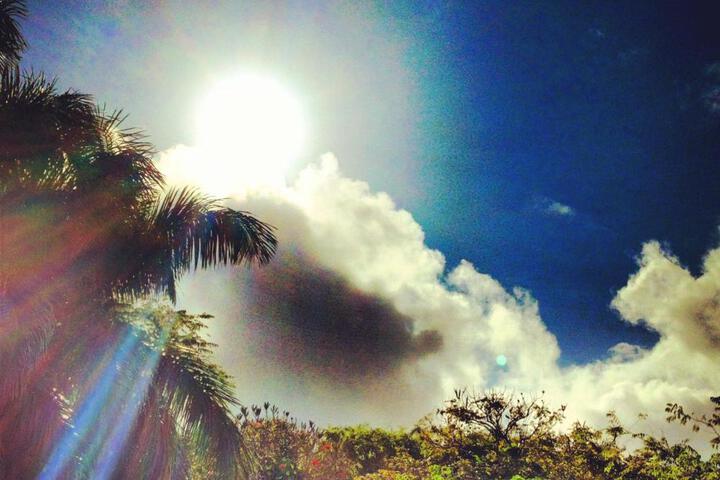 Heavenly Hana Paradise