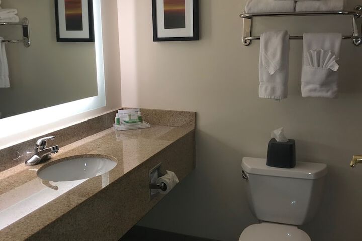Holiday Inn & Suites Ann Arbor Univ Michigan Area by IHG