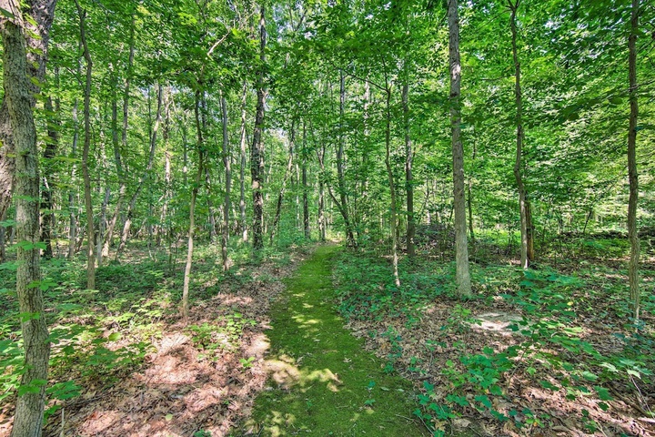 Cozy garden Room in Welsh Mountain Suites!