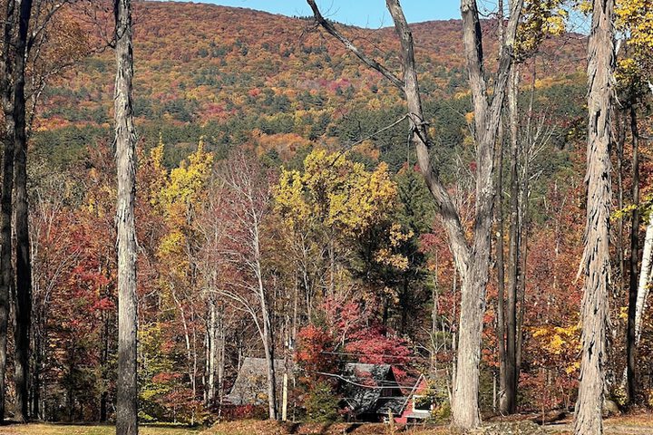 Coldbrook Bed and Breakfast