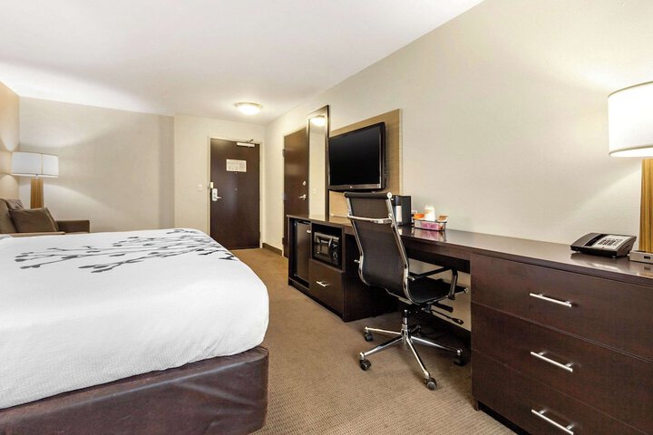 Room 33 of 48