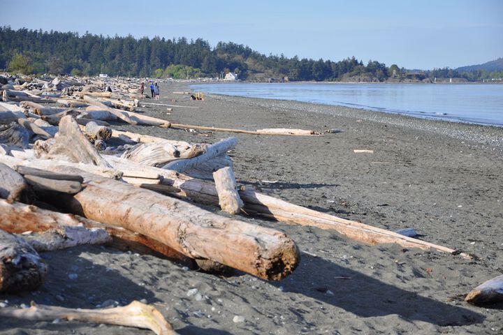 Beach 80 of 89