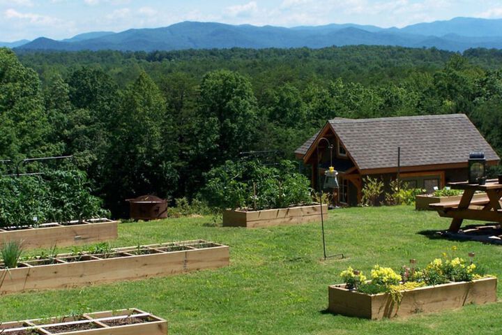 THREE PINES VIEW