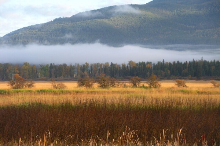 Laughing Horse Lodge
