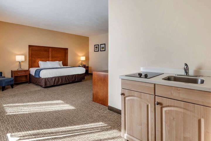 Comfort Inn Apalachin / Binghamton W Route 17