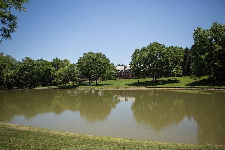 Property Grounds 44 of 51