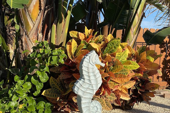 Seahorse Oceanfront Inn