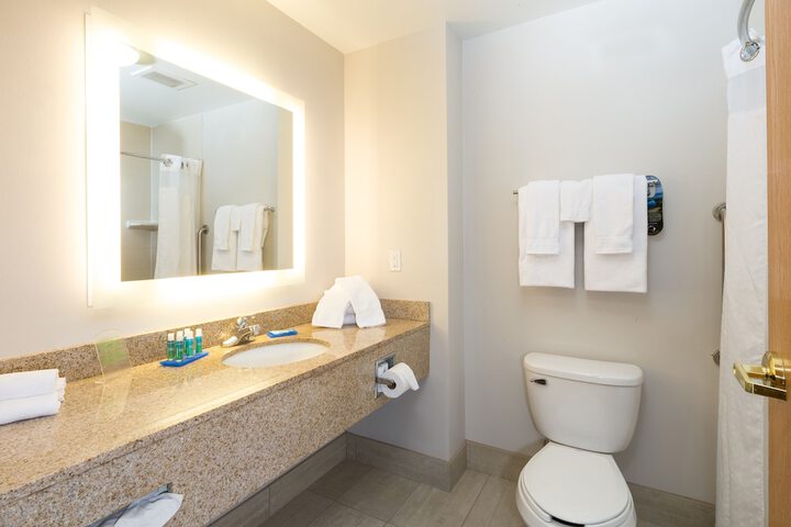 Holiday Inn Express Hotel & Suites Detroit - Utica by IHG