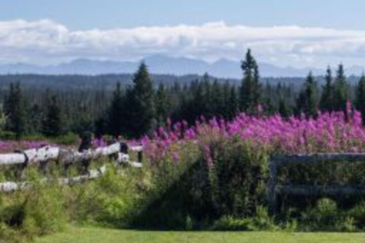 Raven House Alaska