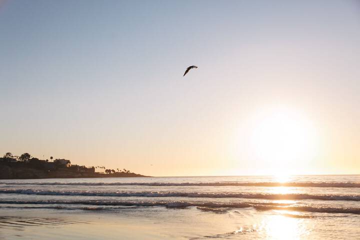 Beach 66 of 101