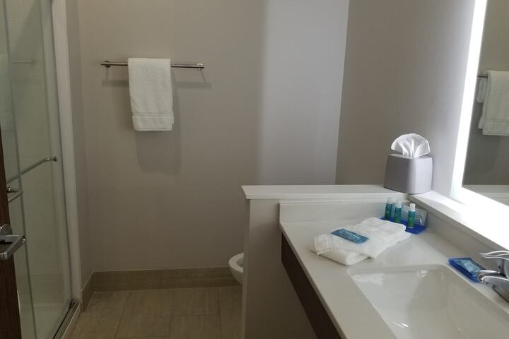 Holiday Inn Express & Suites Fort Mill by IHG
